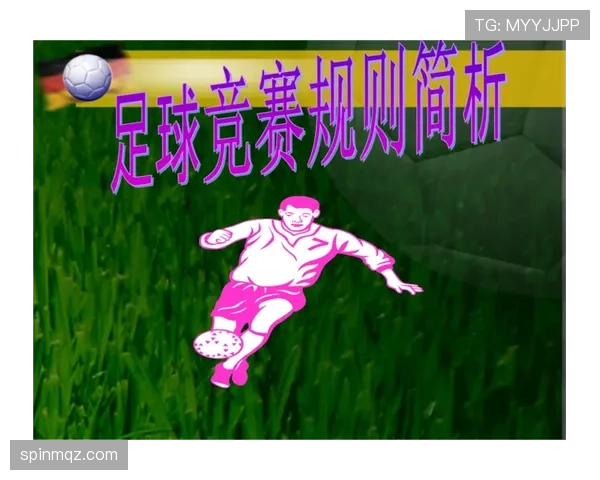球门球规则详解：判罚条件与操作规范全解析